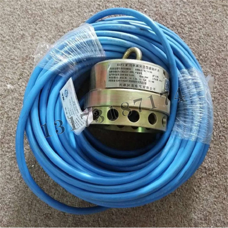 KGV1礦用本質安全型感煙開關|天津貝克電氣有限公司