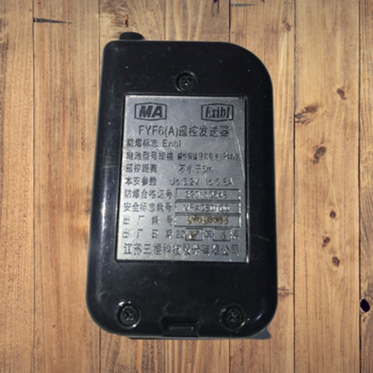 FYF10(A)遙控發送器|淄博瑞安特自動化設備有限公司