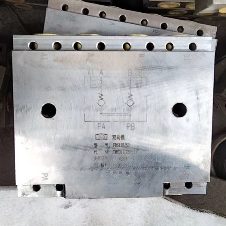 北京天瑪電液FDS125/50雙向鎖