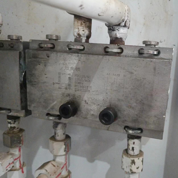 FDYA125/50液控單向閥|北京天瑪智控科技股份有限公司