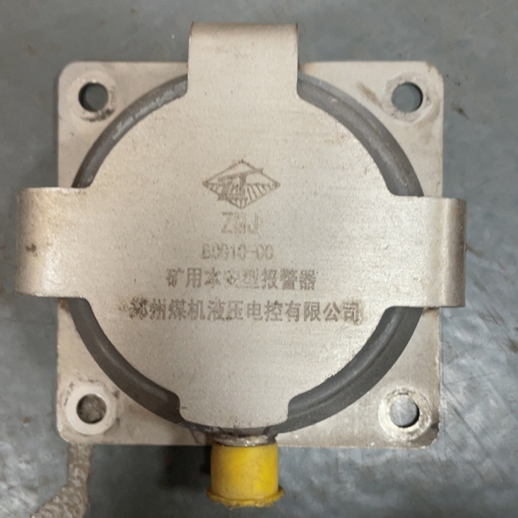 BCG10-00礦用本安型報警器 煤礦隔爆型語音報警裝置