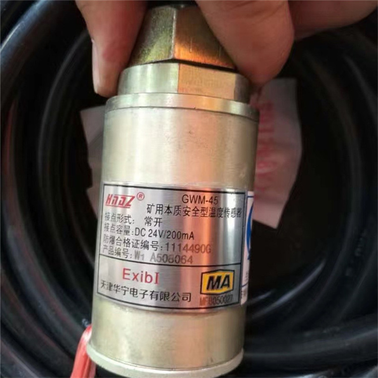 GWM-45礦用本質安全型溫度傳感器GWM-45-W-4廠家出售